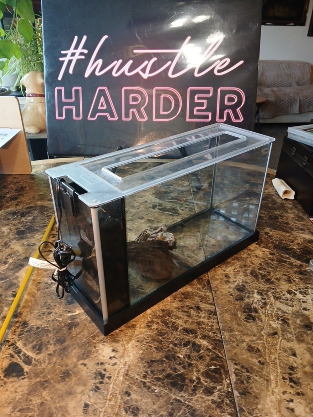 Fluval Spec V Aquarium Kit, 5-Gallon, Black tested works great
The Fluval Spec - Picture 12 of 12